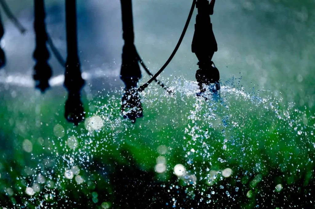 sprinklers full image